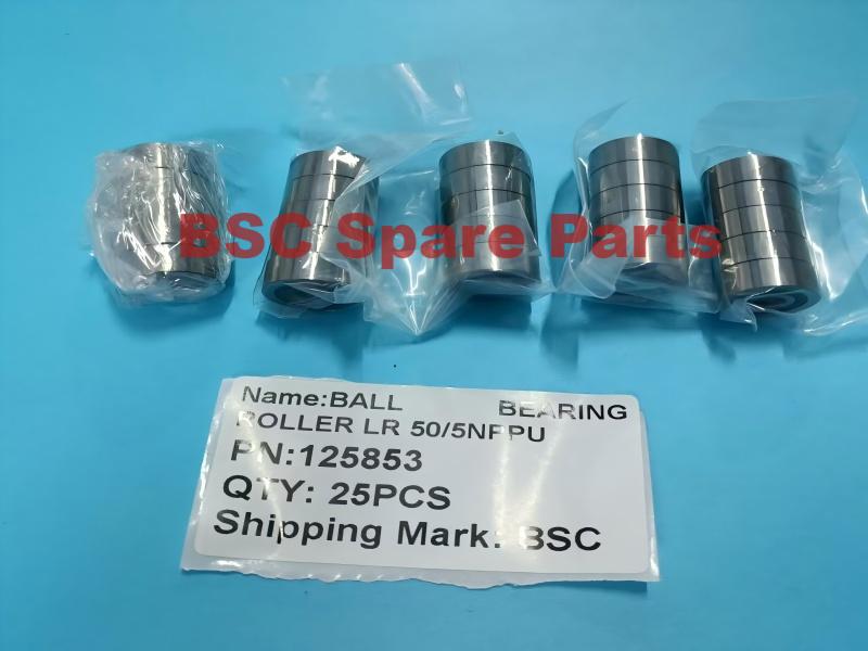 Sidel spare parts BALL BEARING ROLLER LR 505NFPU 125853