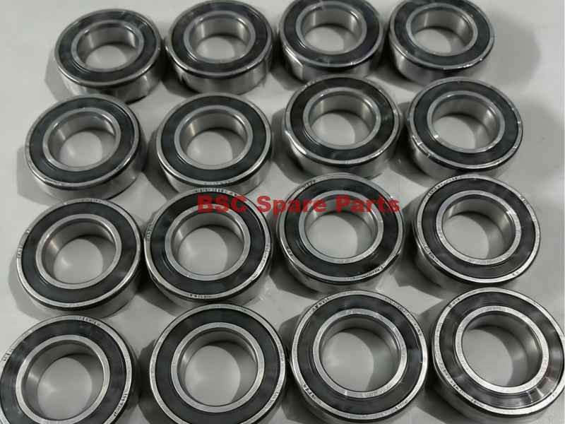 Sidel spare parts RIGID BEARING 6006 2RS1 00000000040